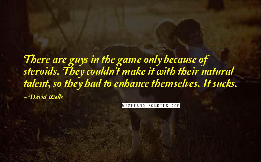 David Wells Quotes: There are guys in the game only because of steroids. They couldn't make it with their natural talent, so they had to enhance themselves. It sucks.