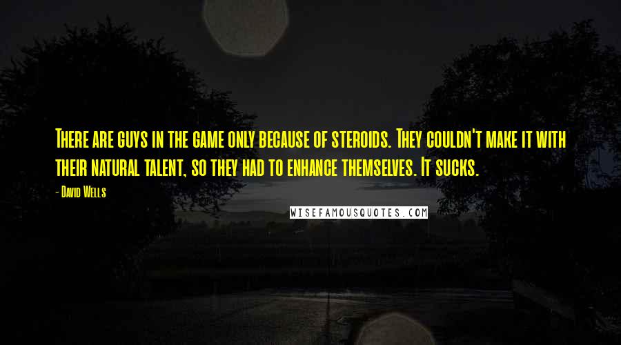 David Wells Quotes: There are guys in the game only because of steroids. They couldn't make it with their natural talent, so they had to enhance themselves. It sucks.