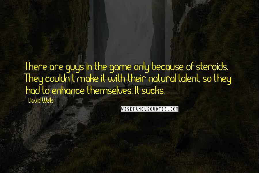 David Wells Quotes: There are guys in the game only because of steroids. They couldn't make it with their natural talent, so they had to enhance themselves. It sucks.