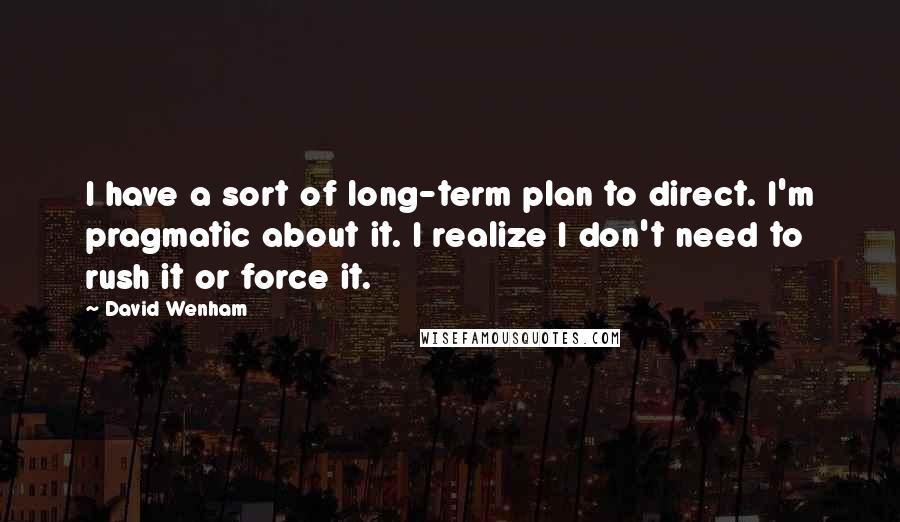 David Wenham Quotes: I have a sort of long-term plan to direct. I'm pragmatic about it. I realize I don't need to rush it or force it.