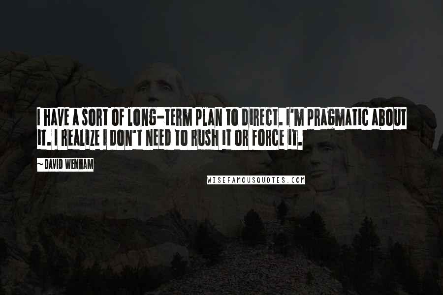 David Wenham Quotes: I have a sort of long-term plan to direct. I'm pragmatic about it. I realize I don't need to rush it or force it.