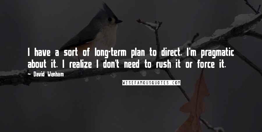 David Wenham Quotes: I have a sort of long-term plan to direct. I'm pragmatic about it. I realize I don't need to rush it or force it.