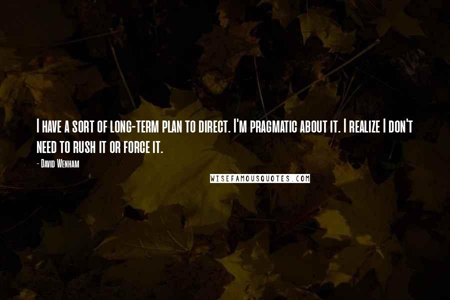 David Wenham Quotes: I have a sort of long-term plan to direct. I'm pragmatic about it. I realize I don't need to rush it or force it.