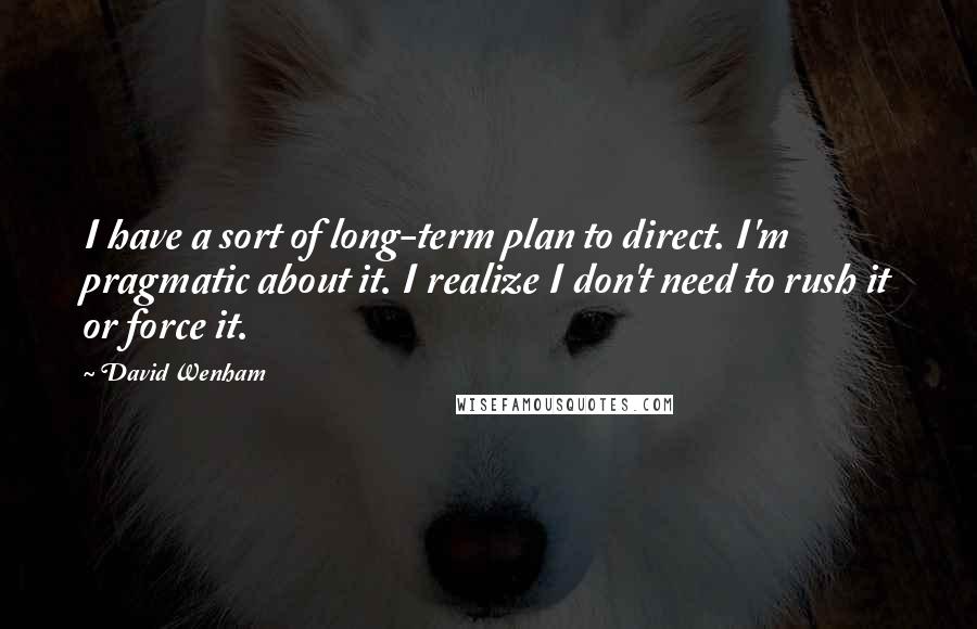 David Wenham Quotes: I have a sort of long-term plan to direct. I'm pragmatic about it. I realize I don't need to rush it or force it.