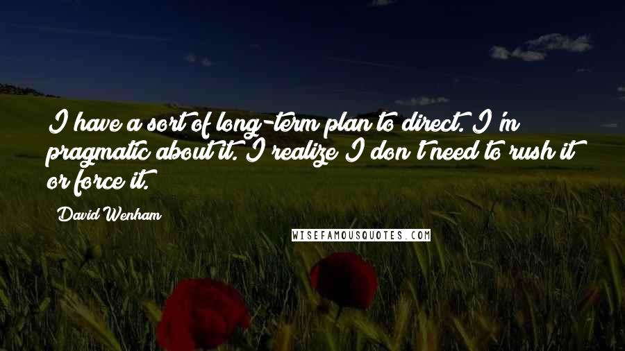 David Wenham Quotes: I have a sort of long-term plan to direct. I'm pragmatic about it. I realize I don't need to rush it or force it.