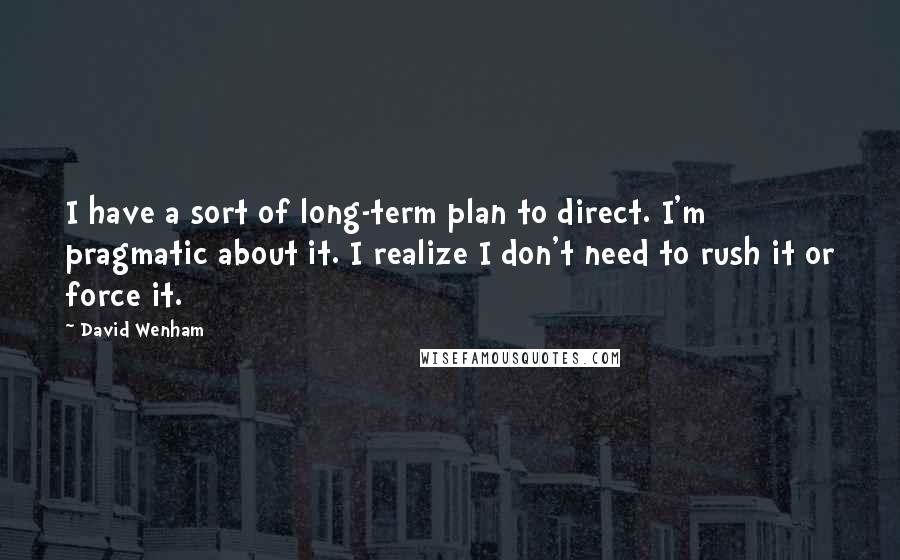 David Wenham Quotes: I have a sort of long-term plan to direct. I'm pragmatic about it. I realize I don't need to rush it or force it.