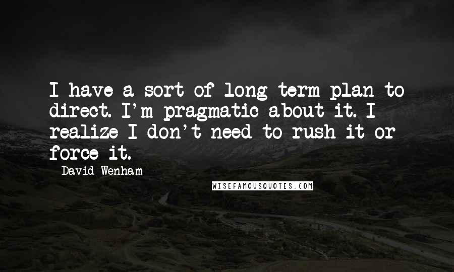 David Wenham Quotes: I have a sort of long-term plan to direct. I'm pragmatic about it. I realize I don't need to rush it or force it.