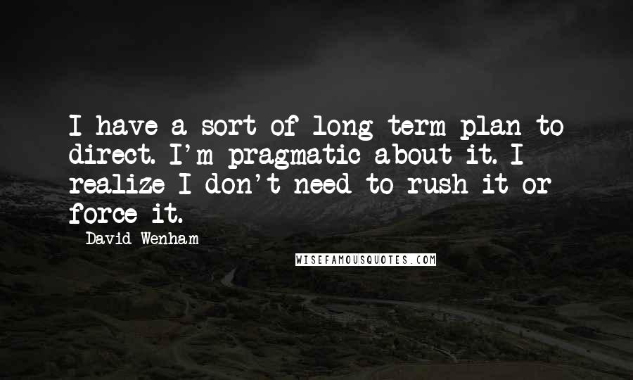 David Wenham Quotes: I have a sort of long-term plan to direct. I'm pragmatic about it. I realize I don't need to rush it or force it.