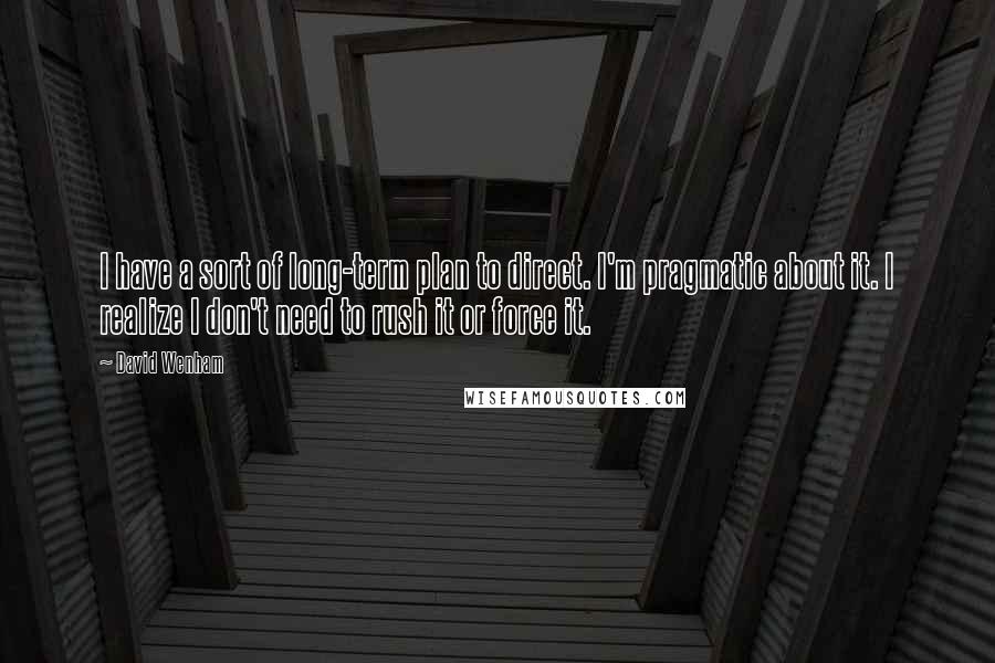 David Wenham Quotes: I have a sort of long-term plan to direct. I'm pragmatic about it. I realize I don't need to rush it or force it.