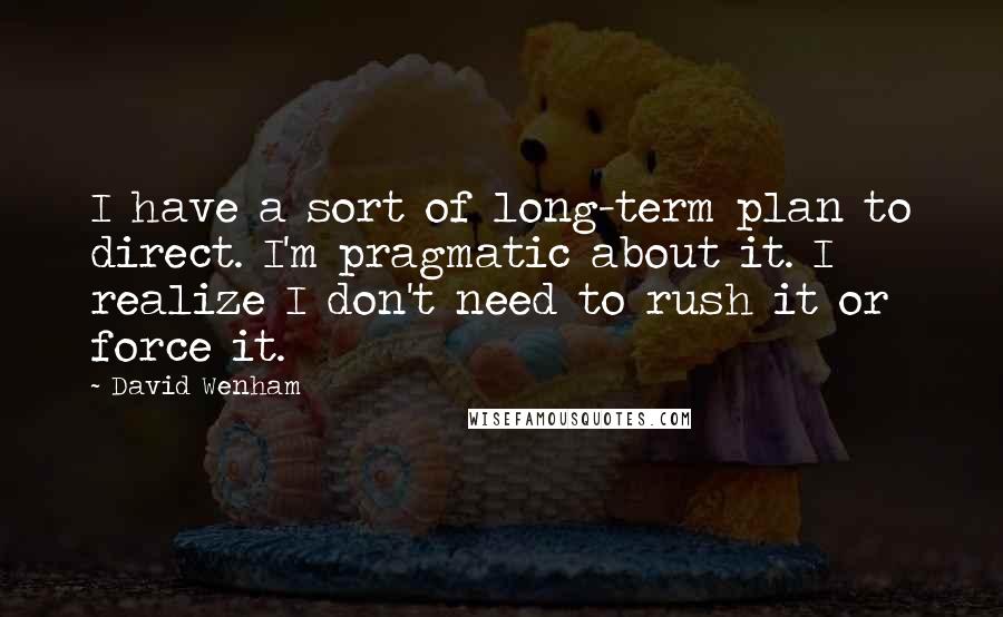 David Wenham Quotes: I have a sort of long-term plan to direct. I'm pragmatic about it. I realize I don't need to rush it or force it.