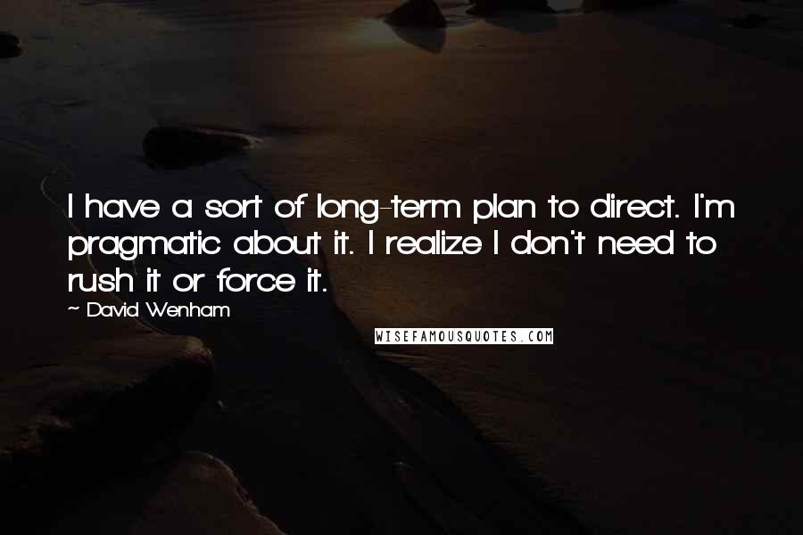 David Wenham Quotes: I have a sort of long-term plan to direct. I'm pragmatic about it. I realize I don't need to rush it or force it.