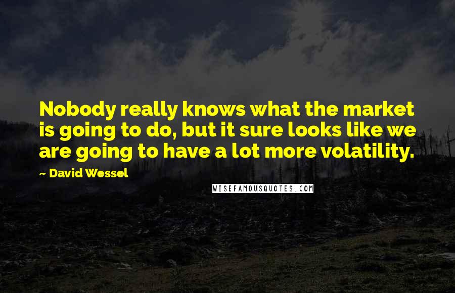 David Wessel Quotes: Nobody really knows what the market is going to do, but it sure looks like we are going to have a lot more volatility.