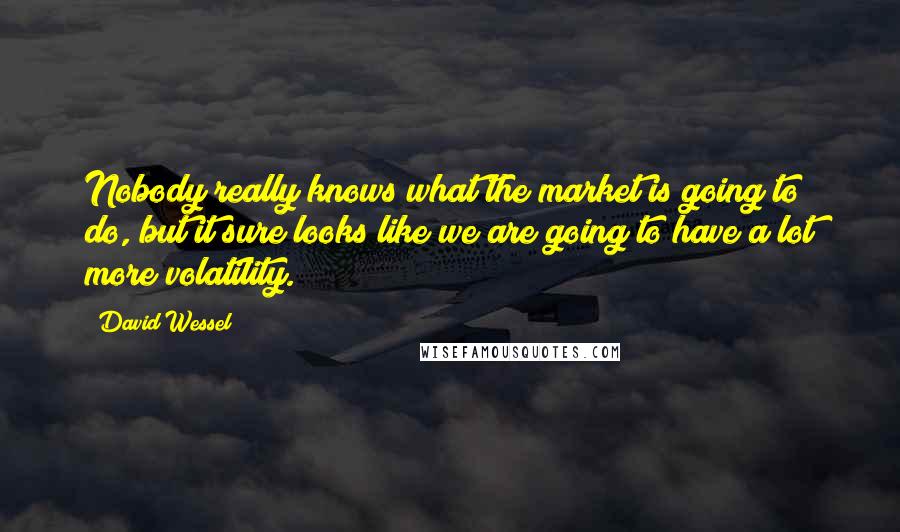 David Wessel Quotes: Nobody really knows what the market is going to do, but it sure looks like we are going to have a lot more volatility.