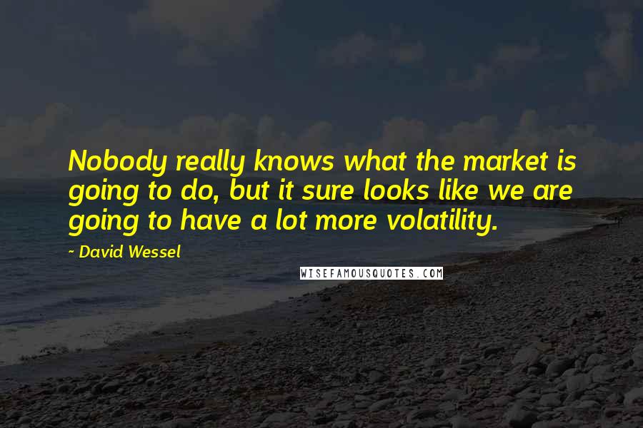 David Wessel Quotes: Nobody really knows what the market is going to do, but it sure looks like we are going to have a lot more volatility.