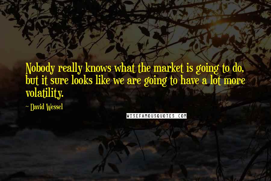 David Wessel Quotes: Nobody really knows what the market is going to do, but it sure looks like we are going to have a lot more volatility.