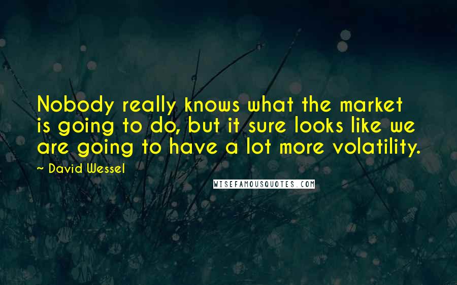 David Wessel Quotes: Nobody really knows what the market is going to do, but it sure looks like we are going to have a lot more volatility.