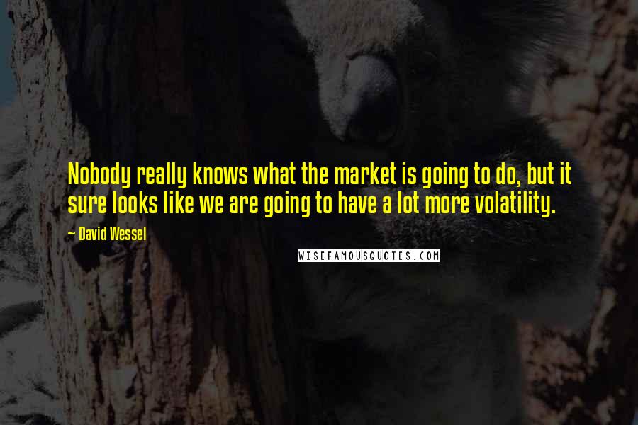 David Wessel Quotes: Nobody really knows what the market is going to do, but it sure looks like we are going to have a lot more volatility.