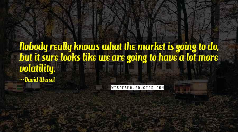 David Wessel Quotes: Nobody really knows what the market is going to do, but it sure looks like we are going to have a lot more volatility.