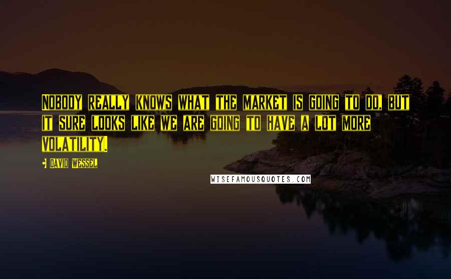 David Wessel Quotes: Nobody really knows what the market is going to do, but it sure looks like we are going to have a lot more volatility.