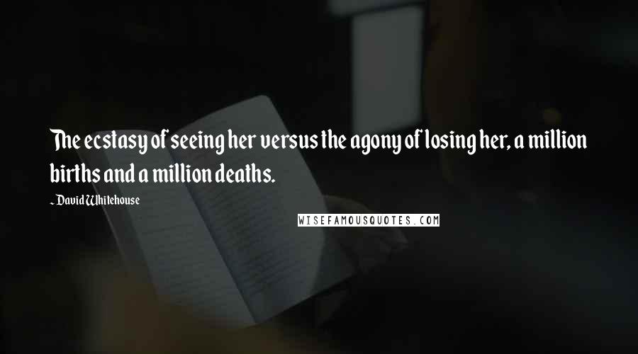 David Whitehouse Quotes: The ecstasy of seeing her versus the agony of losing her, a million births and a million deaths.