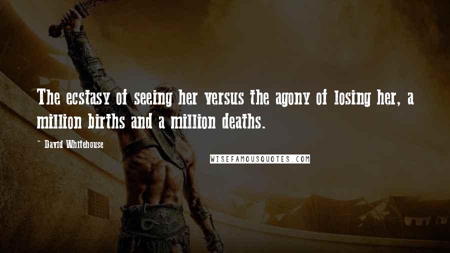 David Whitehouse Quotes: The ecstasy of seeing her versus the agony of losing her, a million births and a million deaths.