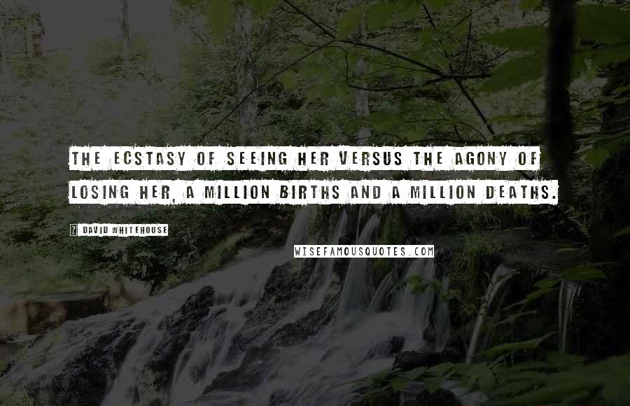David Whitehouse Quotes: The ecstasy of seeing her versus the agony of losing her, a million births and a million deaths.