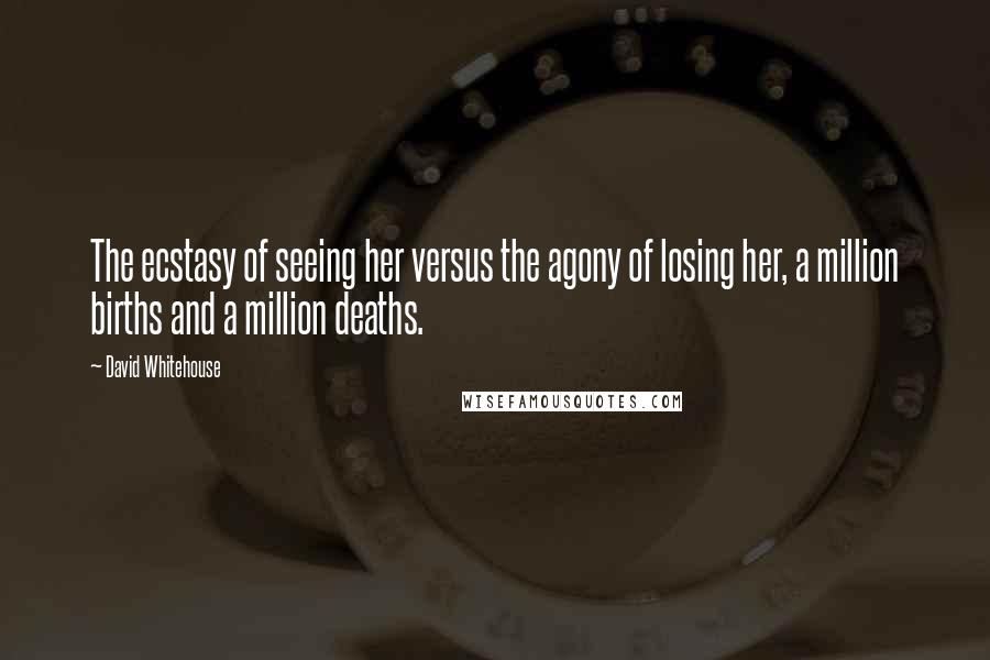 David Whitehouse Quotes: The ecstasy of seeing her versus the agony of losing her, a million births and a million deaths.