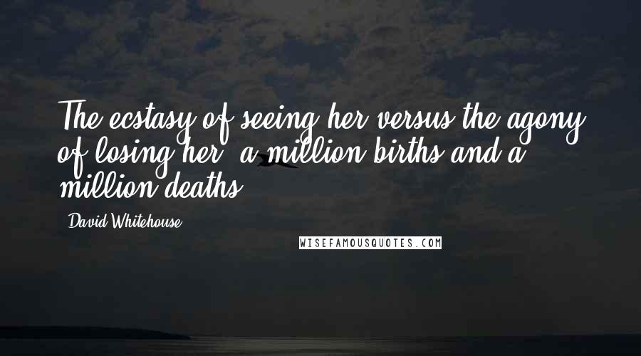 David Whitehouse Quotes: The ecstasy of seeing her versus the agony of losing her, a million births and a million deaths.