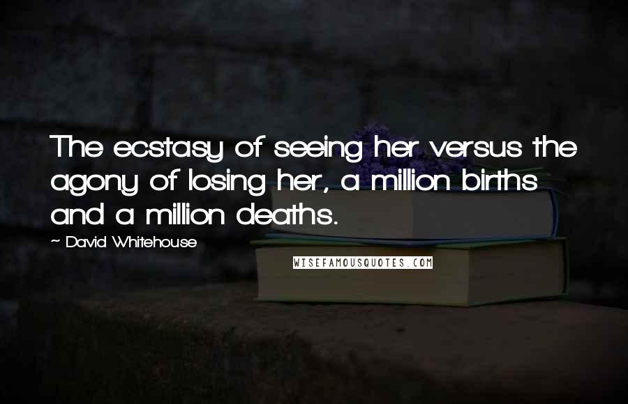 David Whitehouse Quotes: The ecstasy of seeing her versus the agony of losing her, a million births and a million deaths.