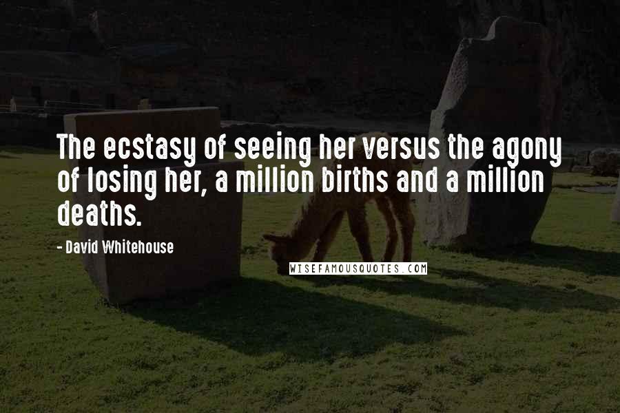 David Whitehouse Quotes: The ecstasy of seeing her versus the agony of losing her, a million births and a million deaths.