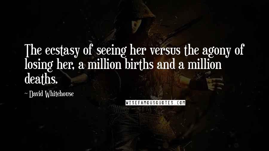 David Whitehouse Quotes: The ecstasy of seeing her versus the agony of losing her, a million births and a million deaths.