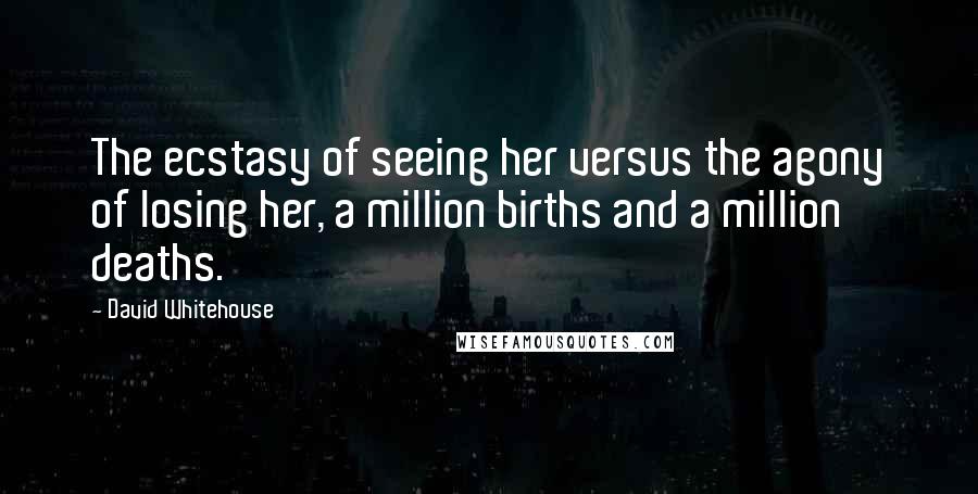 David Whitehouse Quotes: The ecstasy of seeing her versus the agony of losing her, a million births and a million deaths.