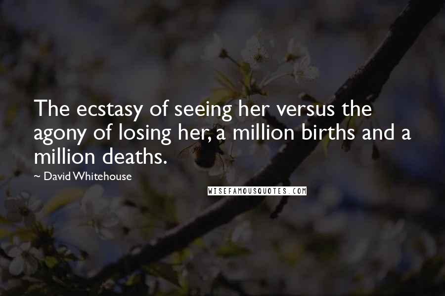 David Whitehouse Quotes: The ecstasy of seeing her versus the agony of losing her, a million births and a million deaths.