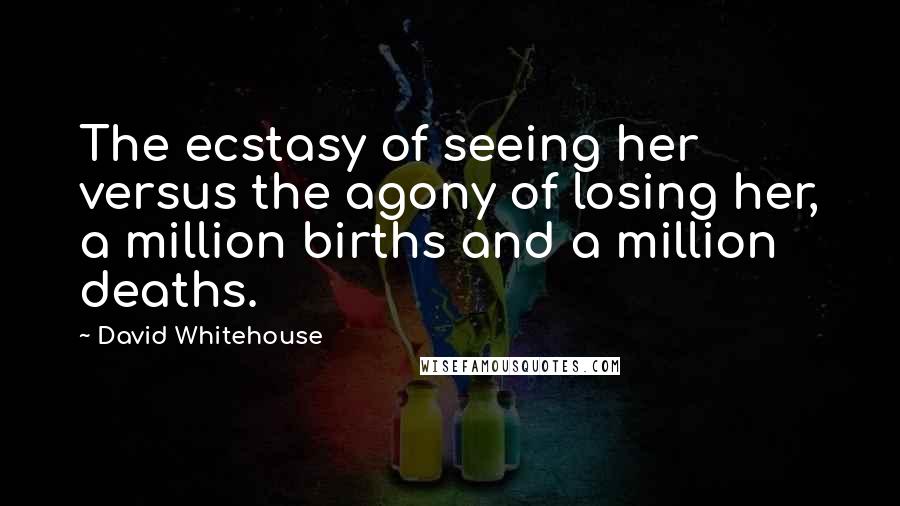 David Whitehouse Quotes: The ecstasy of seeing her versus the agony of losing her, a million births and a million deaths.