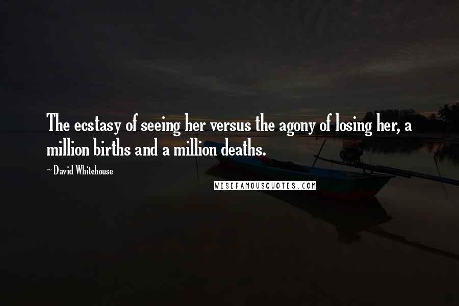 David Whitehouse Quotes: The ecstasy of seeing her versus the agony of losing her, a million births and a million deaths.