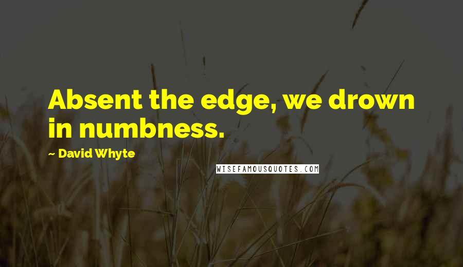 David Whyte Quotes: Absent the edge, we drown in numbness.