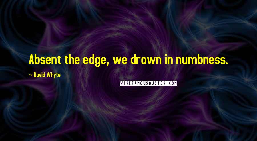 David Whyte Quotes: Absent the edge, we drown in numbness.