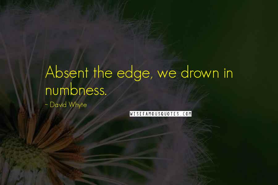 David Whyte Quotes: Absent the edge, we drown in numbness.