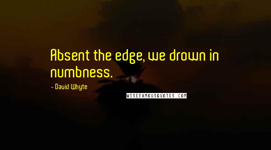 David Whyte Quotes: Absent the edge, we drown in numbness.