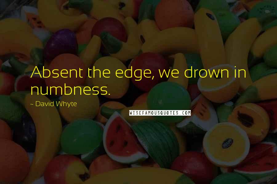 David Whyte Quotes: Absent the edge, we drown in numbness.