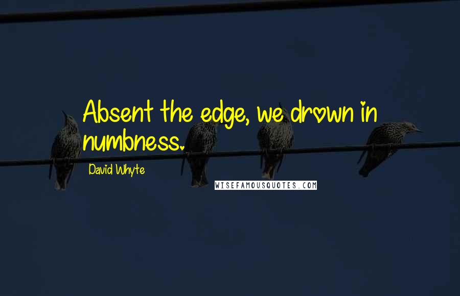 David Whyte Quotes: Absent the edge, we drown in numbness.