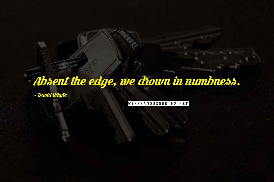 David Whyte Quotes: Absent the edge, we drown in numbness.