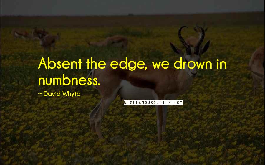 David Whyte Quotes: Absent the edge, we drown in numbness.