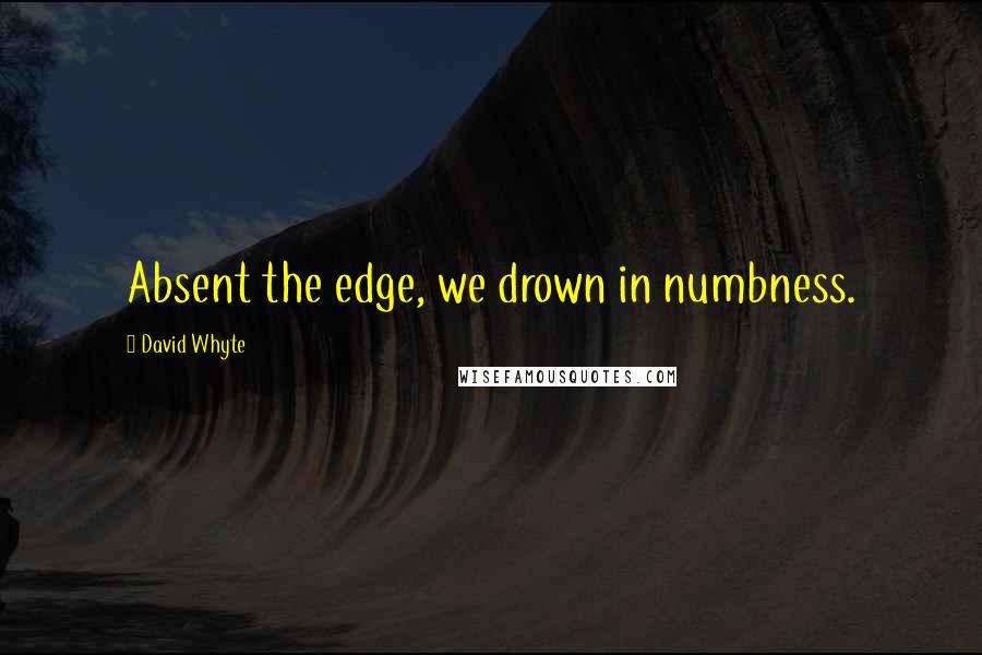 David Whyte Quotes: Absent the edge, we drown in numbness.