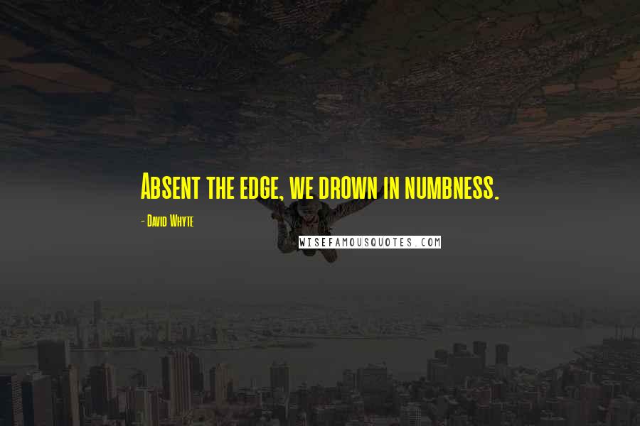 David Whyte Quotes: Absent the edge, we drown in numbness.