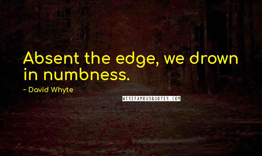 David Whyte Quotes: Absent the edge, we drown in numbness.