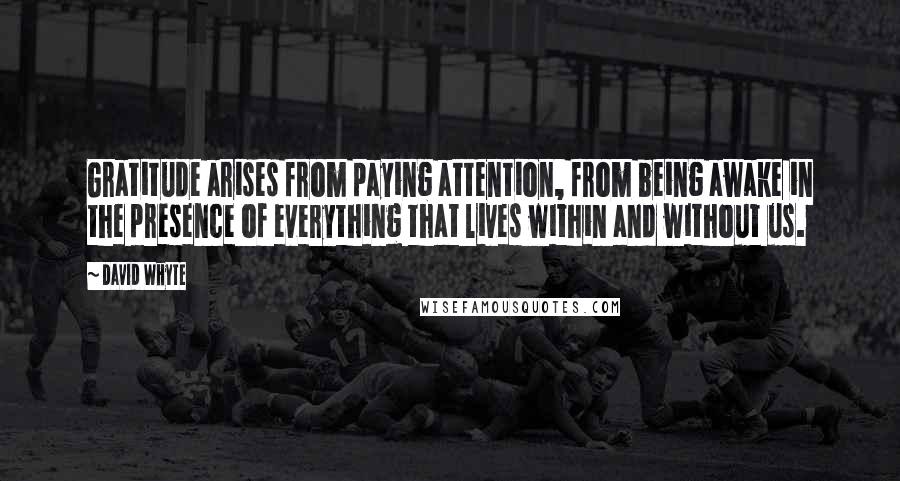 David Whyte Quotes: Gratitude arises from paying attention, from being awake in the presence of everything that lives within and without us.