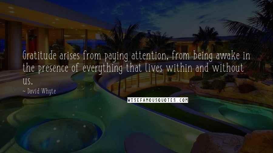 David Whyte Quotes: Gratitude arises from paying attention, from being awake in the presence of everything that lives within and without us.