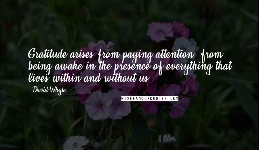 David Whyte Quotes: Gratitude arises from paying attention, from being awake in the presence of everything that lives within and without us.