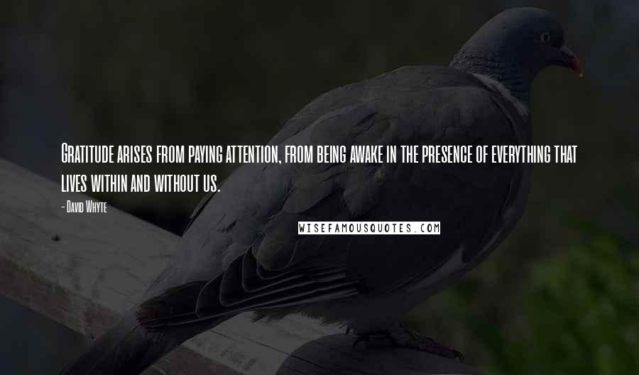 David Whyte Quotes: Gratitude arises from paying attention, from being awake in the presence of everything that lives within and without us.